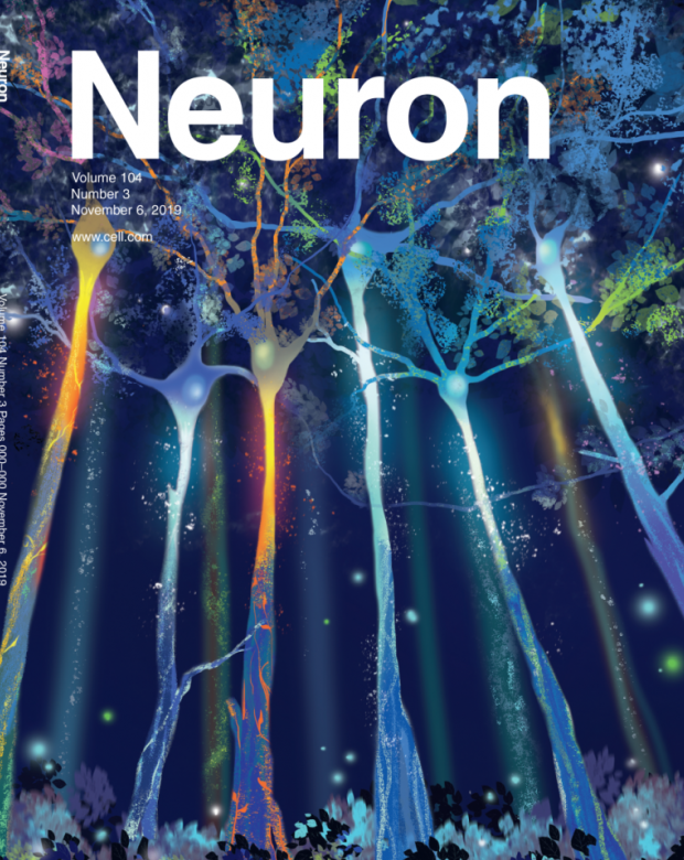 gallery/cover_neuron2019
