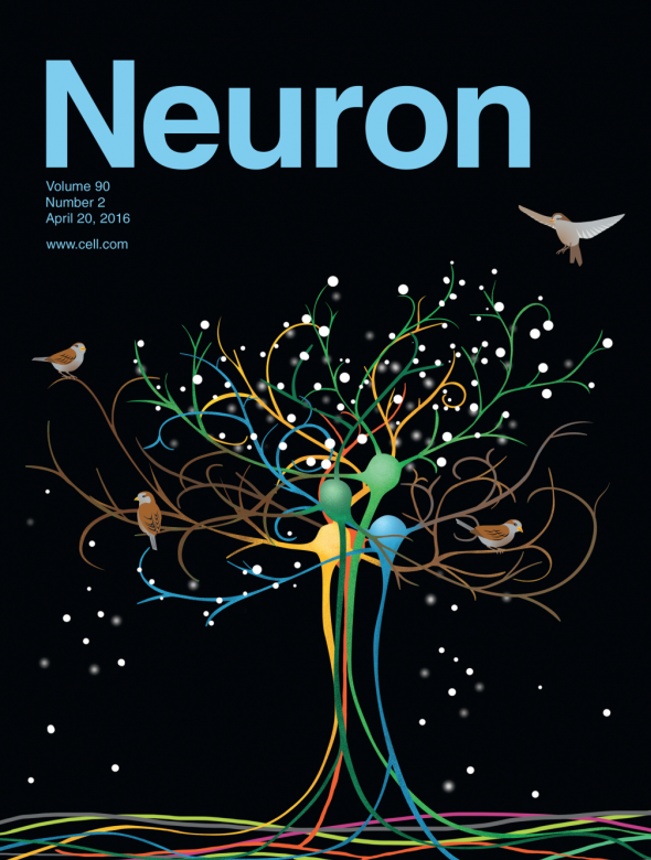 gallery/cover_neuron2016