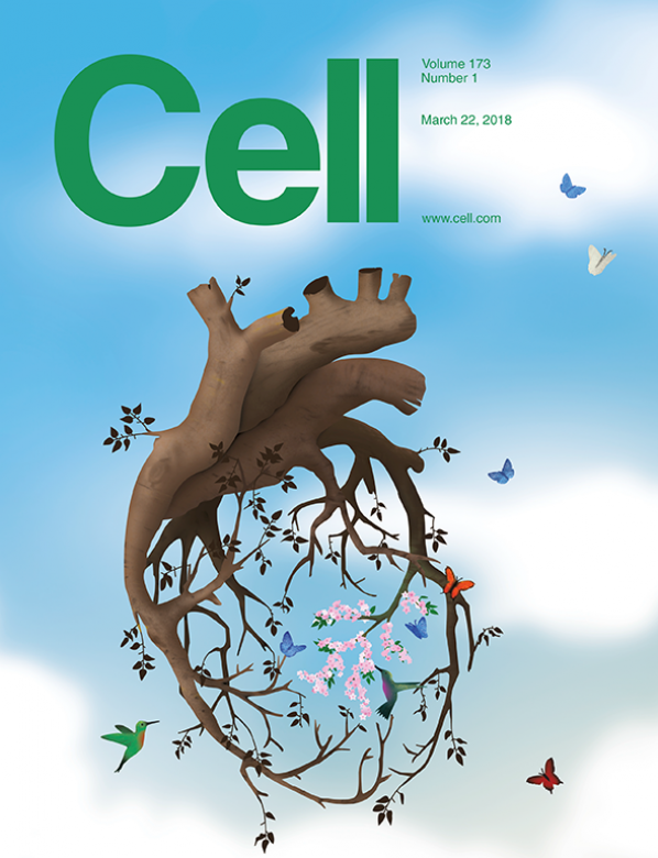 gallery/cell_173_1_cover